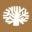Flat Rock Hickory Icon