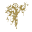 Fino Lino Icon