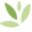 Holden Forests & Gardens Icon