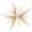 Eonstar Icon
