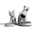 Torus Pet Icon