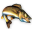 Walleye Direct Icon