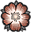 Wild Rose Icon