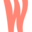 Waju Icon