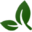 Native Ceuticals Icon