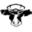 Shatto Home Delivery Icon