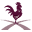 Crossroads Market Icon