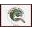 Research Nation Icon
