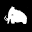 Wooli Store Icon