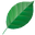 Unbranded USA Icon