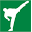 Side Kick USA Icon