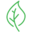 Nailtopia Icon
