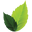 Live Clean Icon