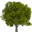 Ironwood Capital Icon