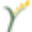 Yellow Wood Partners Icon