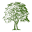 Sycamore Partners Icon