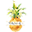 The Designer Minky Co Live Sales Icon