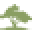 DW Silks Icon