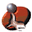 Burtonpower.com Icon