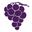 Fruit of the Vine Icon