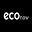 Eco Now Icon