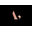 ABronzTail Icon
