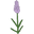 Herban Essentials Icon