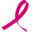 Breast Cancer Research Foundation Icon