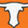 Longhorn Distributing Icon