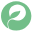 Pngtree Icon
