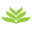Infusio Icon