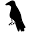 Twocrowsforjoy Icon