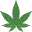 Charleston Hemp Company Icon