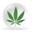 CBD Store Deals Icon