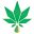 Hempology CBD Store Icon