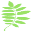 Always Beautiful Home Icon