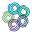 Bloom Yoga Studio Icon