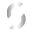 System Professional Icon