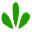 DoctorSpring Icon