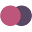 Sowiso Icon