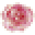 Shiva Rose Icon