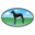 American Natural Premium Icon
