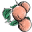 Farmstead Apothecary Icon