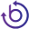 Bitcoin Revolution Icon