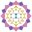 Tibetan Socks Icon