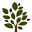 RFI Icon