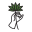 FLOWER CO. Icon