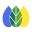 Order Lookup Icon