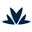 Morellato Icon