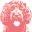 Charlee Bear Icon